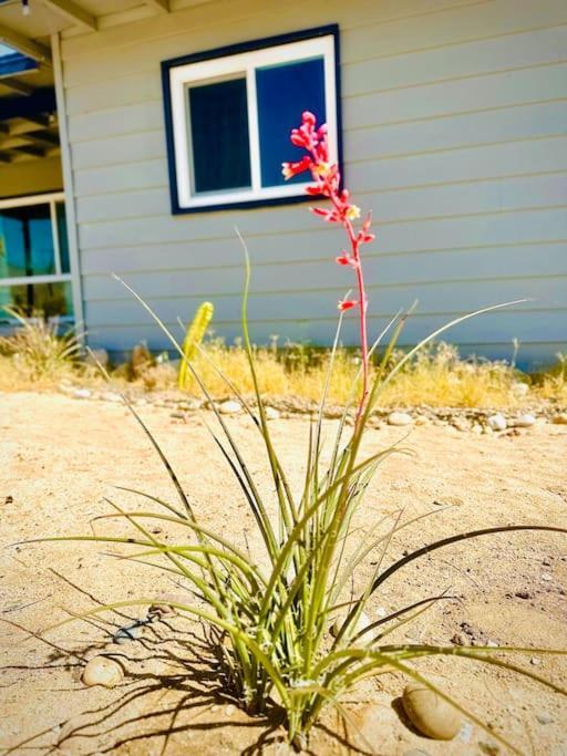 The Desert Monroe-Hot Tub-Firepit-Games-By Joshua Tree National Park Twentynine Palms Exterior photo